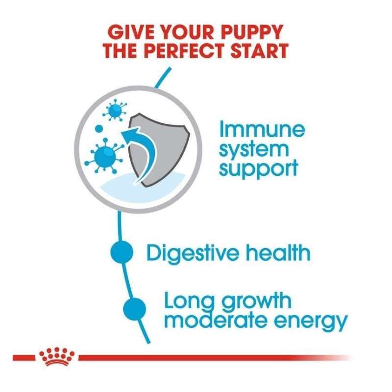 Royal Canin Maxi Puppy 15kg