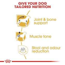 Royal Canin Dachshund Adult 1.5kg