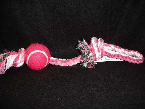 Rope Tug with Tennis Ball