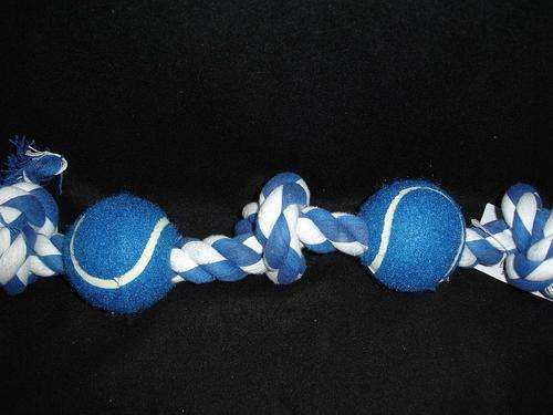 Rope Bone with 2 Tennis Balls