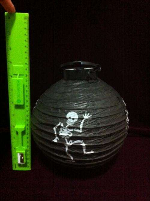 Paper lantern with light bulb