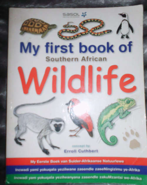 MY FIRST BOOK OF SOUTHERN AFRICAN WILDLIFE - ERROL CUTHBERT - IN 4 LANGUAGES - IN 4 TALE - SAGTEBAND