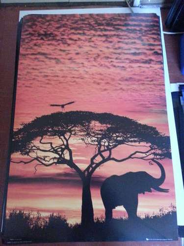 AFRICAN SUNSET. GB EYE POSTERS
