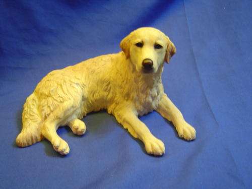 Beautiful Labrador dog