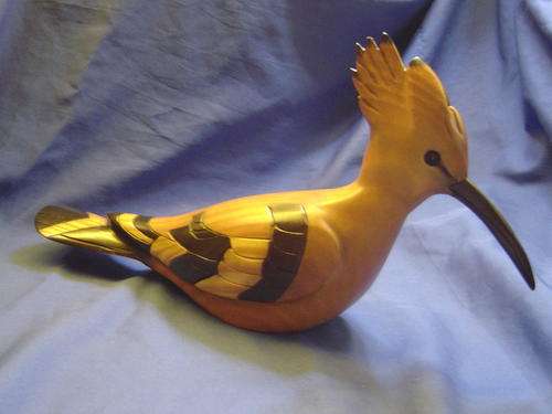 Knysna Feathers Fossils Hoepoe