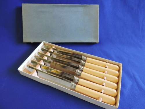Vintage Bone Handle Set 6 Dinner Knives Boxed