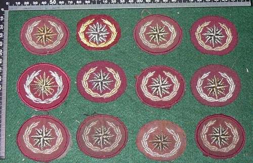 RECCE/SPECIAL FORCES BERET BADGE LOT