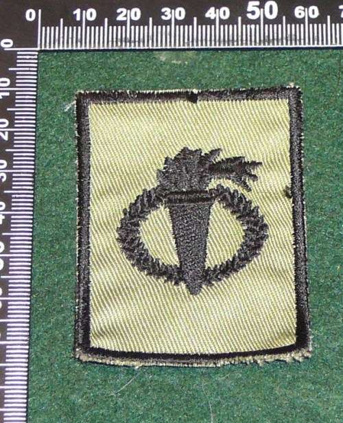 SANDF Pathfinder thatch- beige patch