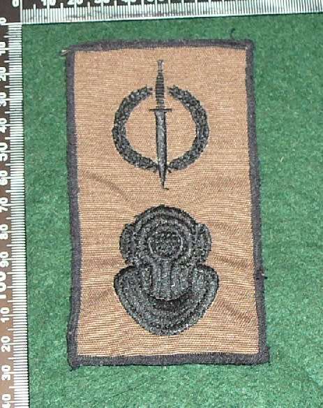 RECCE PROPOSED OPERATOR & ARMY DIVER BADGE