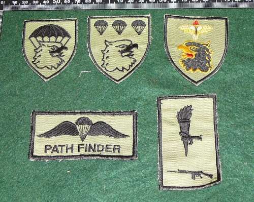 SANDF PATHFINDER BADGE LOT