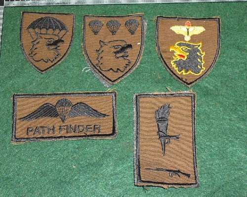 PATHFINDER NUTRIA PATCH LOT