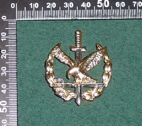 TASK FORCE OPERATORS BADGE