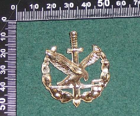 TASK FORCE OPERATORS BADGE