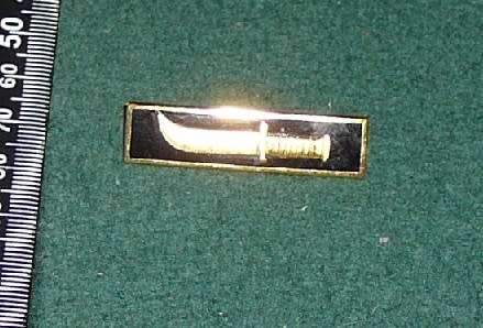 CHILLEAN SPECIAL FORCE COMMANDO T-SHIRT & BADGE AS WORN BY 5 SF RECCE ON EXCHANGE