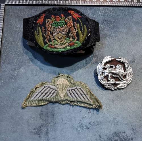 RHODESIAN SELOUS SCOUTS /TRANSKEI W.O. BADGE LOT