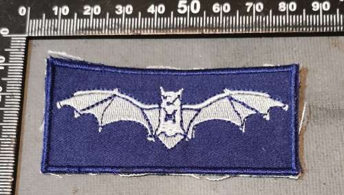 SAAF EARLY JUNIOR RECCE QUALIFICATION WING