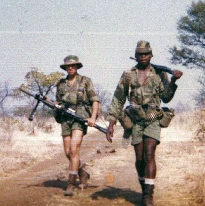 RHODESIAN COMBAT SHORTS AS USED BY SELOUS SCOUTS