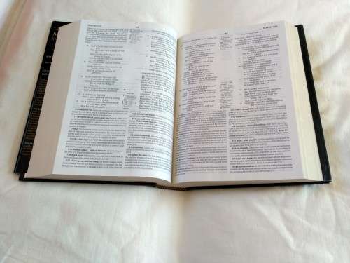 MacArthur Study Bible-NKJV, new King James version - John MacArthur