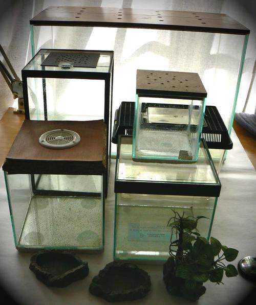 Several glass terrariums / tanks with hygrometers and accessories!!! Price reduced!!!