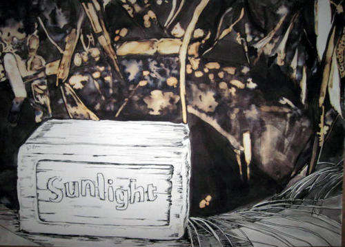 SA Artist - NDowning - Sunlight at the dam