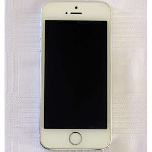 Silver Apple iPhone 5S (16GB) + Earpods with Remote & Mic + USB Power Adaptor + Cover