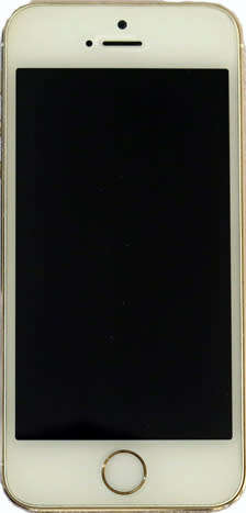 Apple iPhone 5S (16GB) + Earpods + USB Power Adaptor + Cover