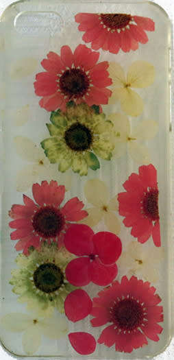 Apple iPhone 5S (16GB) + Earpods + USB Power Adaptor + Cover