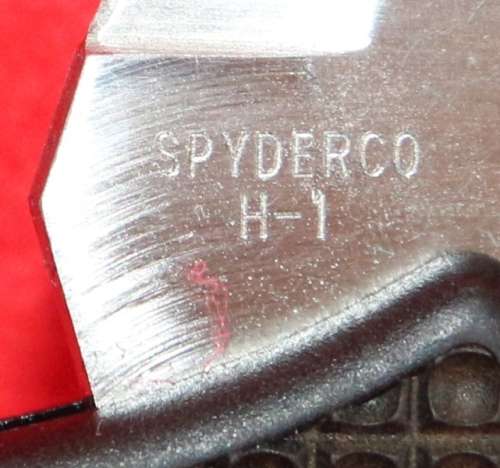 Spyderco Tasman Salt H1 black, plain edge