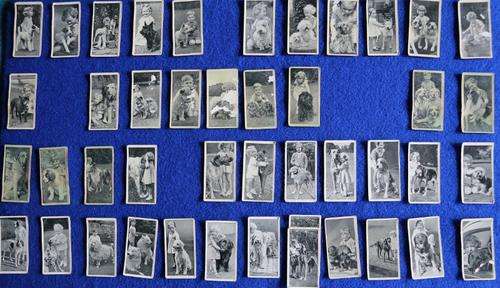 Cigarette Cards - Dogs and Friend 1936 Carreras Ltd