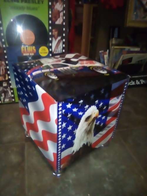 national guard racing ottoman, dale