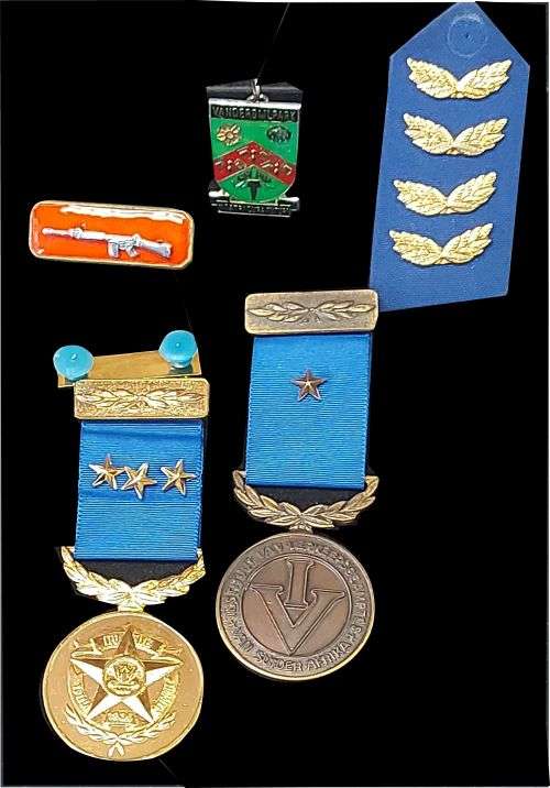 VARIOUS SANDF and METRO POLICE INSIGNIA