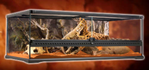 Exo Terra Natural Terrarium Large/Low 90 x 45 x 30 cm / 36 x 18 x 12 (WxDxH)