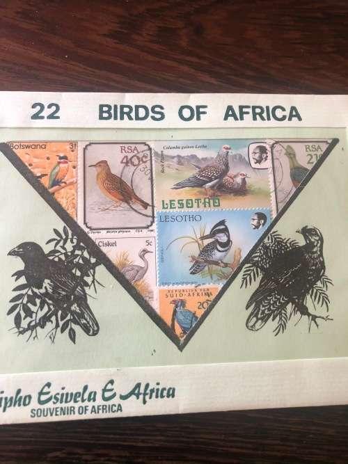 BIRDS OF AFRICA STAMPS X22