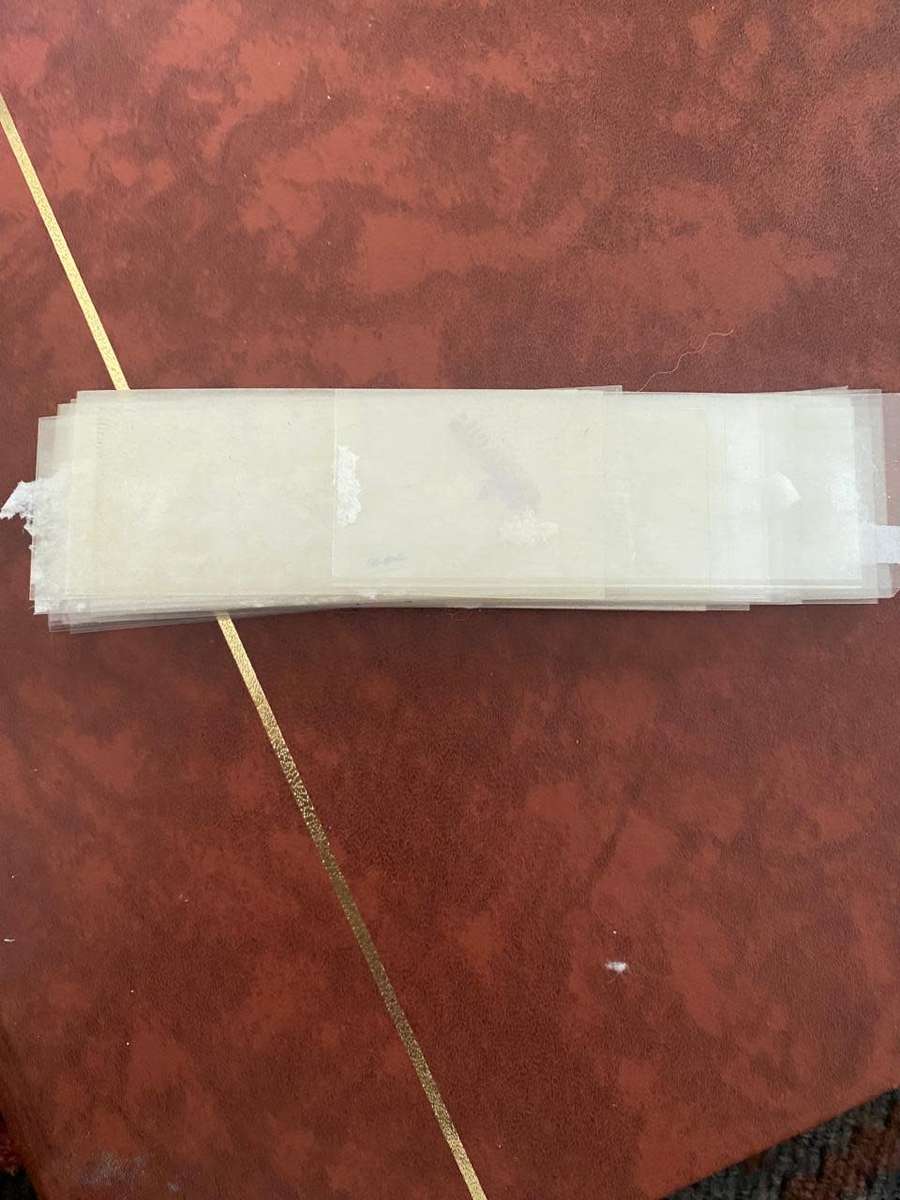 Stamp clear x50 pieces