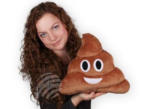 Emoji Cushion Poo Smiley  Poo