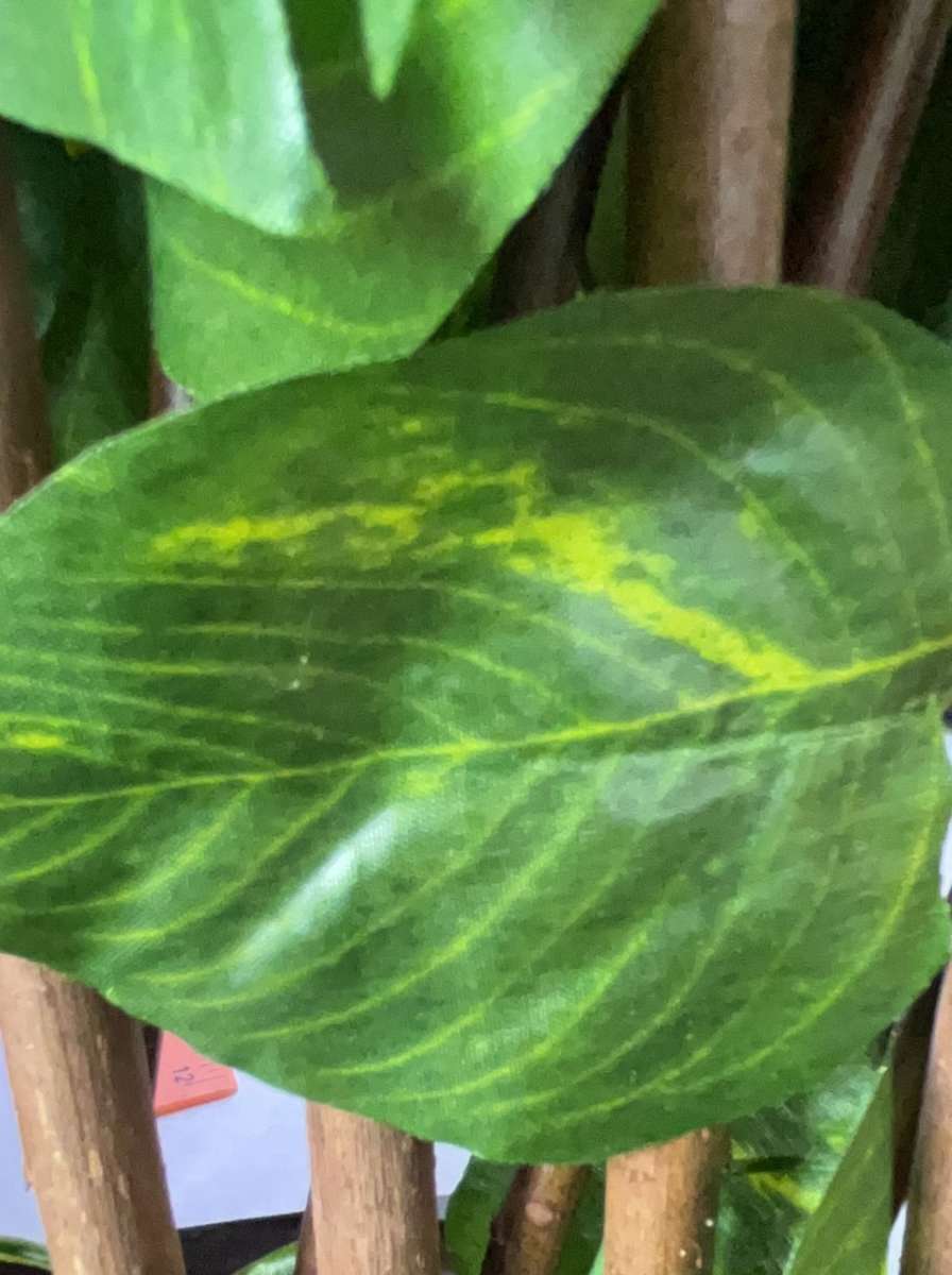 PH Garden - Fold Out Trellis With Artificial Variegated Leaves