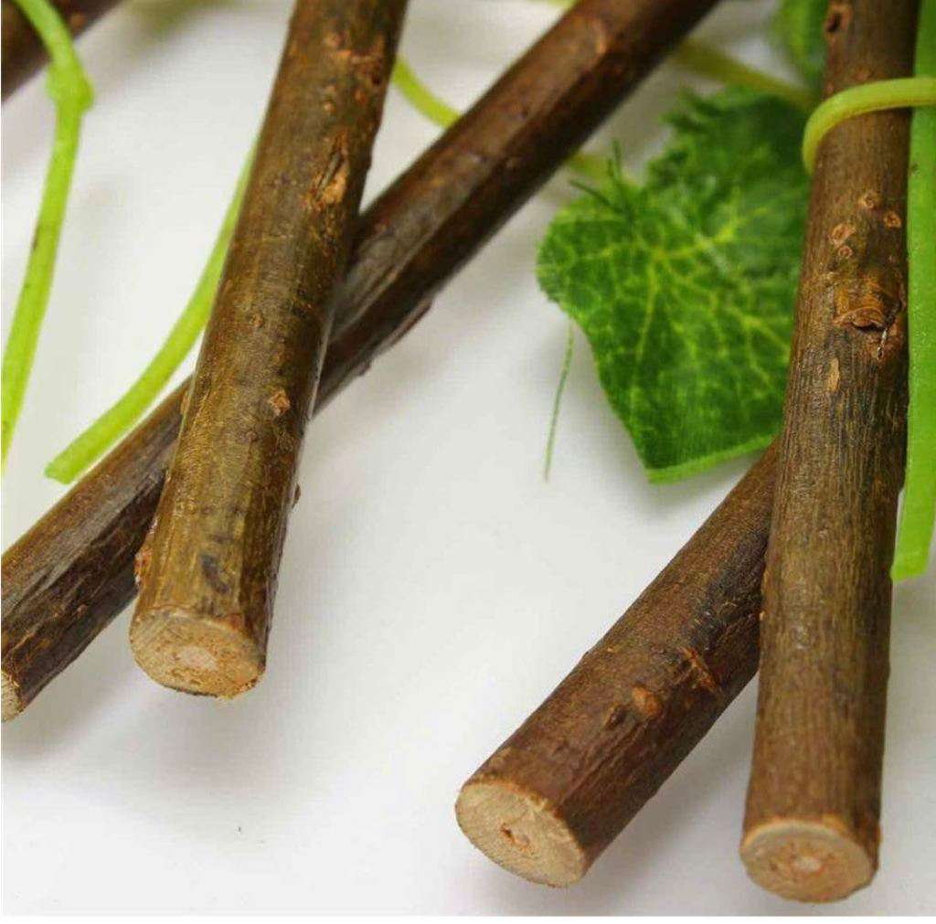 PH Garden - Fold Out Trellis With Artificial Variegated Leaves