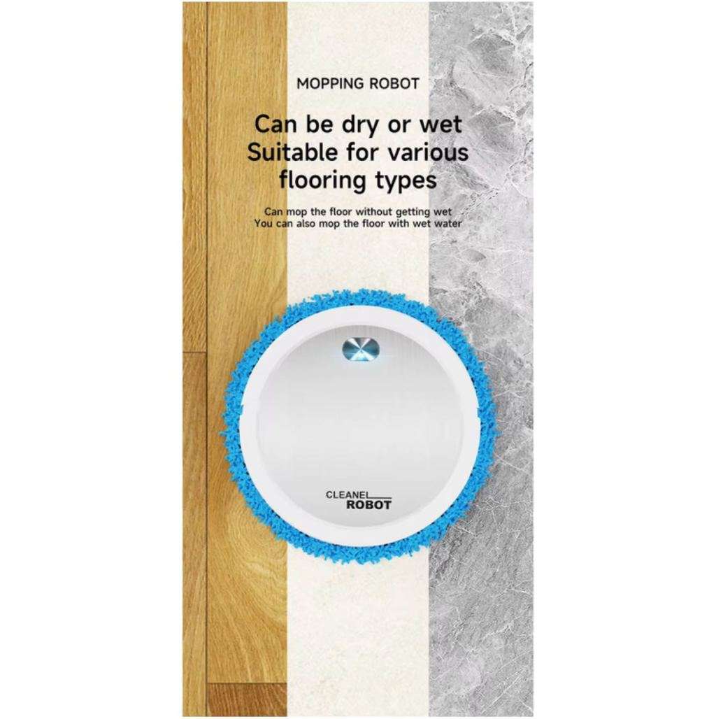 Intelligent Mopping Robot Sweep