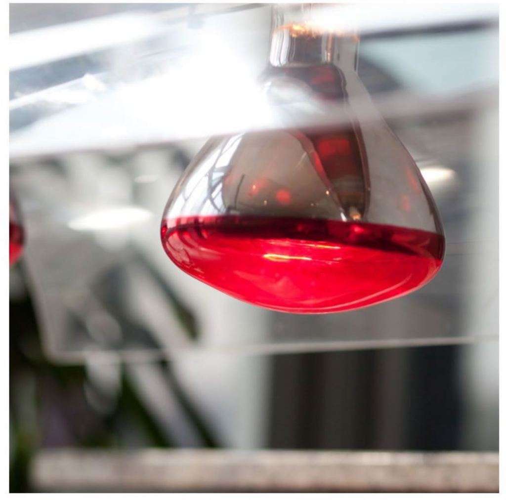 Animal Infrared Heat Lamp