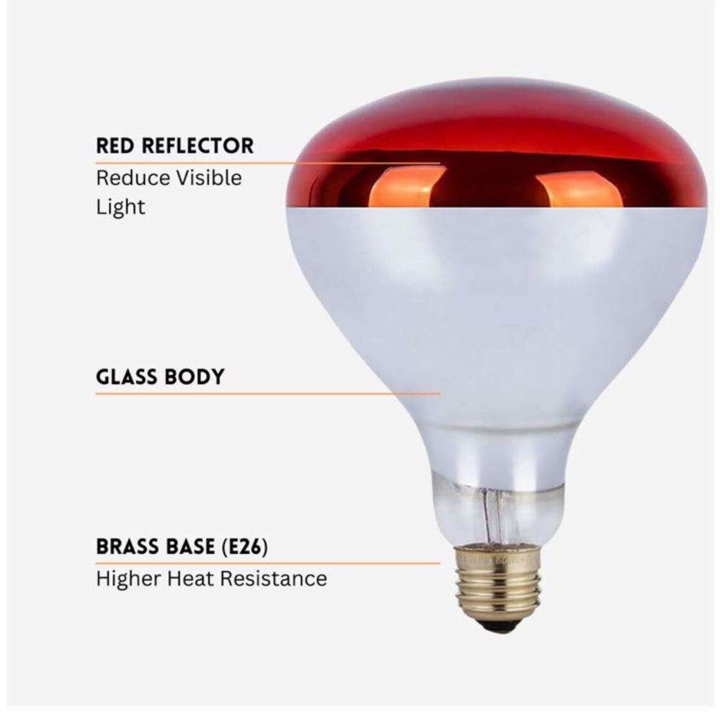 Animal Infrared Heat Lamp
