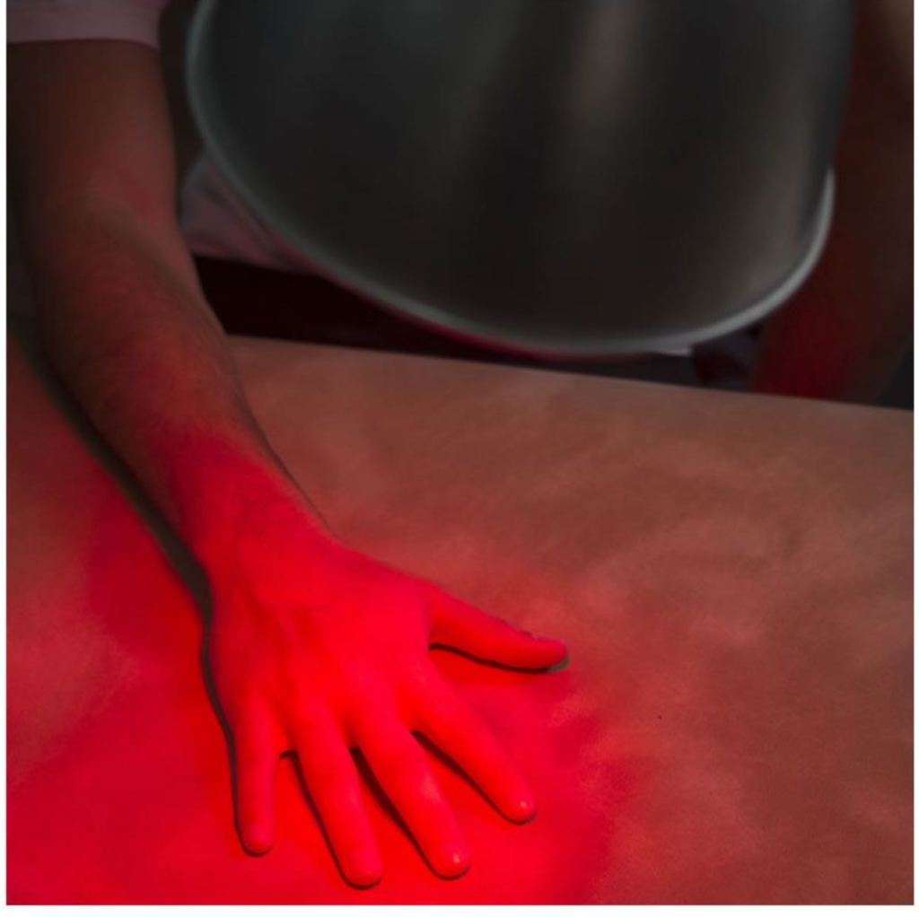 Animal Infrared Heat Lamp