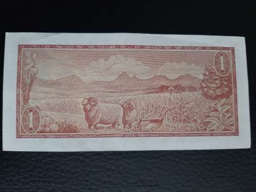 1975 R1 T W de Jongh