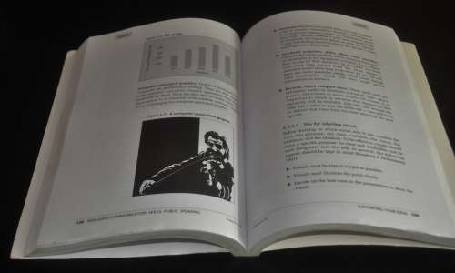 Persuasive Commuication Skills: Public Speaking by Stella Steinberg ISBN 0702152102