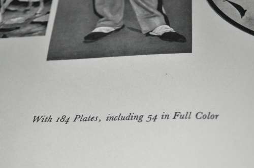 Famous Paintings An Introduction to Art for young people by Alice Elizabeth Chase