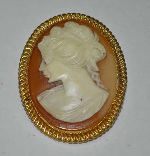 Vintage Gold Tone and Resin Costume Jewellery Cameo Brooch Pin
