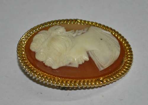 Vintage Gold Tone and Resin Costume Jewellery Cameo Brooch Pin