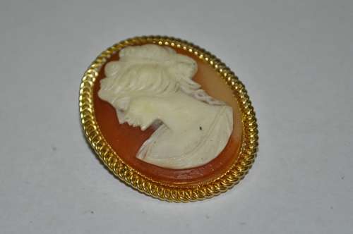 Vintage Gold Tone and Resin Costume Jewellery Cameo Brooch Pin