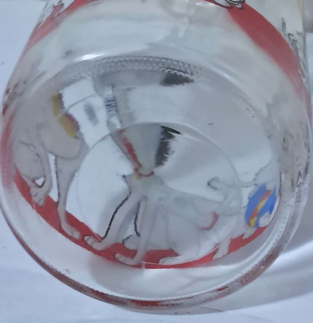 Collectible, Vintage Disney 101 Dalmatians Milk Bottle made in France