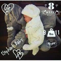 Medium Baby Toy Elephant Pillow Plush