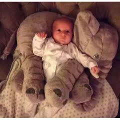 Medium Baby Toy Elephant Pillow Plush
